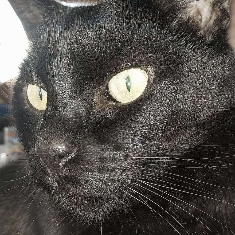 Meet your Posher, Kara